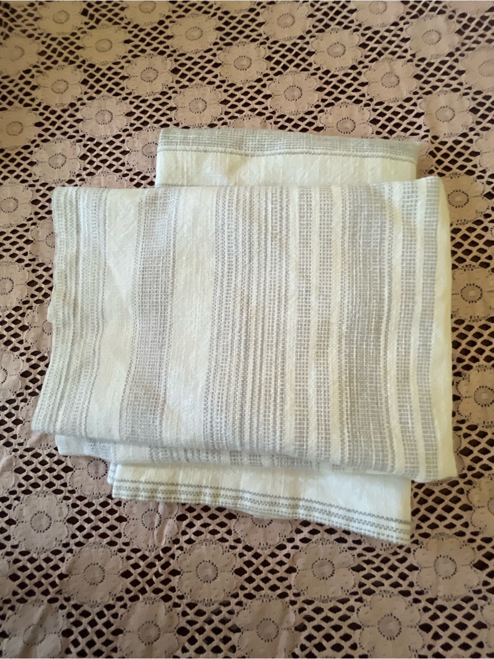 Pottery Barn pillow sham pair